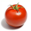 TERRITORIO TOMATE